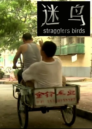 Stragglers Birds (2011) Subs Eng - Free Gay Movies