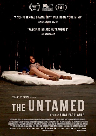 The Untamed - Subs Eng - Gay Movies Online