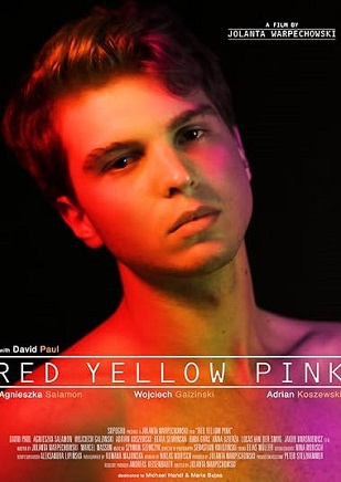 Red Yellow Pink (2020) Subs Eng . Free Gay Movies