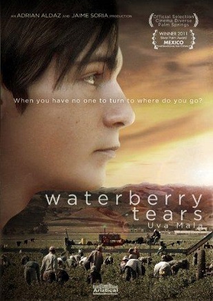 Waterberry Tears (2010) Watch Gay Movies Online